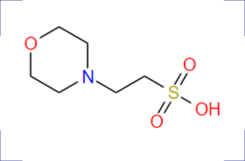 2-Morpholine Ethanesulfonic acid(MES)